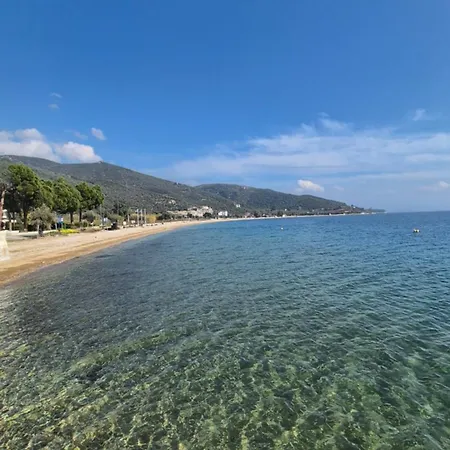 Thalia, On The Lägenhet *